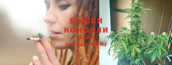 гашик Белоозёрский