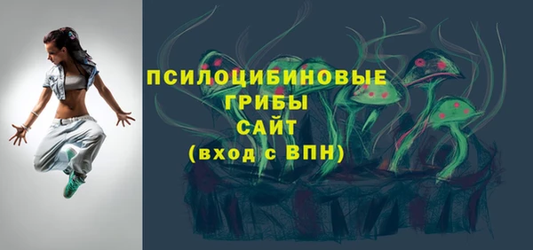 гашик Белоозёрский