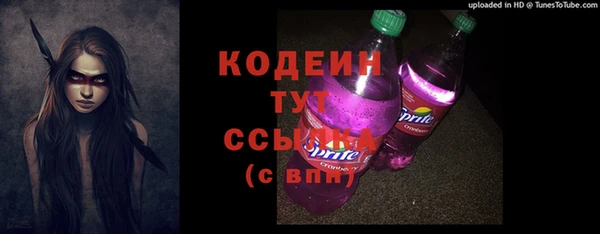 молекула духа Белокуриха